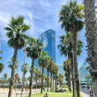 La imagen 7 de la Empresa MANÁ 75 - PAELLA RESTAURANT BARCELONA Restaurantes Mediterráneos en Barcelona B