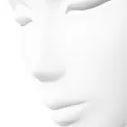 La imagen 1 de la Empresa MANIQUIES DICAPO SL Organización De Eventos en Madrid M