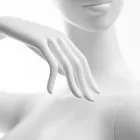 La imagen 5 de la Empresa MANIQUIES DICAPO SL Organización De Eventos en Madrid M