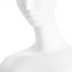 La imagen 8 de la Empresa MANIQUIES DICAPO SL Organización De Eventos en Madrid M