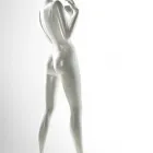 La imagen 12 de la Empresa MANIQUIES DICAPO SL Organización De Eventos en Madrid M