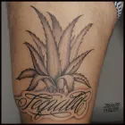 La imagen 35 de la Empresa MARCA SACRA TATTOO STUDIO Tatuajes y Piercings en Madrid M