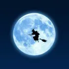 La imagen 4 de la Empresa MARINA GALLEGA Servicios Profesionales y de Negocios en Roses GI