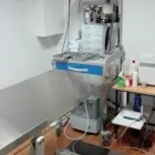La imagen 1 de la Empresa MASCOTITI CLINICA VETERINARIA Veterinarios y Farmacias Veterinarias en Madrid M
