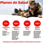 La imagen 6 de la Empresa MASCOTITI CLINICA VETERINARIA Veterinarios y Farmacias Veterinarias en Madrid M