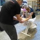 La imagen 21 de la Empresa MASSAGETERAP Salud y Medicina en Terrassa B