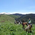 La imagen 8 de la Empresa MERKUR VIAJES Turismo: Servicios en Sevilla SE