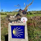 La imagen 22 de la Empresa MERKUR VIAJES Turismo: Servicios en Sevilla SE