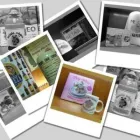 La imagen 4 de la Empresa MICOKITO Tiendas de Regalos en Madrid M