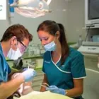 La imagen 12 de la Empresa MIGUEL ANGEL RUIZ CORDOBA Salud y Medicina en Archidona MA