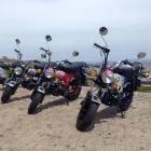 La imagen 1 de la Empresa MOOVING BARCELONA Ventas Vehiculos Classicos en Barcelona B