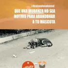 La imagen 4 de la Empresa MUDANZAS ALBACETE LA SEDA Transportes y Turismo en Albacete AB