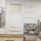 La imagen 4 de la Empresa MUEBLES & TAPIZADOS TRAN Servicios Profesionales y de Negocios en Madrid M