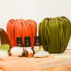 La imagen 5 de la Empresa NATUCORPORE Naturopatia en Madrid M