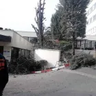 La imagen 2 de la Empresa PAISATERRA INGENIERÍA EN JARDINERÍA Jardineria: Empresas De Servicios en Madrid M
