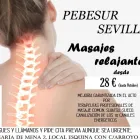 La imagen 14 de la Empresa PEBESUR SEVILLA Salud y Medicina en Sevilla SE