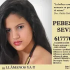 La imagen 23 de la Empresa PEBESUR SEVILLA Salud y Medicina en Sevilla SE