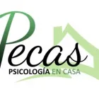 La imagen 2 de la Empresa PECAS PSICOLOGÍA EN CASA Salud y Medicina en Sevilla SE