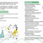 La imagen 3 de la Empresa PECAS PSICOLOGÍA EN CASA Salud y Medicina en Sevilla SE