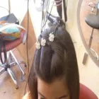 La imagen 5 de la Empresa PELUQUERÍA BREZOS Productos y Servicios de Cuidado Personal en Madrid M
