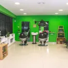 La imagen 10 de la Empresa PELUQUERIA NATURAL MARICRUZ Productos y Servicios de Cuidado Personal en Madrid M