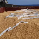 La imagen 1 de la Empresa PHOSPRO Servicios Profesionales y de Negocios en Las Palmas de Gran Canaria GC