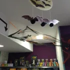 La imagen 4 de la Empresa PIENSO Y MÁS Tienda De Mascotas en Móstoles M