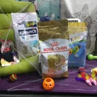 La imagen 6 de la Empresa PIENSO Y MÁS Tienda De Mascotas en Móstoles M