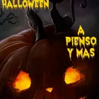 La imagen 7 de la Empresa PIENSO Y MÁS Tienda De Mascotas en Móstoles M