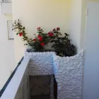 La imagen 40 de la Empresa PINTURAS EN GENERAL EN MÁLAGA Pintores y Pinturas en Benalmádena MA