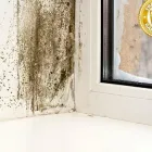 La imagen 2 de la Empresa PROHUCON Inmobiliaria y Reformas en Madrid M