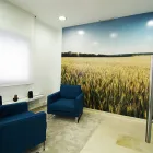 La imagen 1 de la Empresa PSINERGIA COACHING Formacion Para Empresas Y Trabajadores en Málaga MA