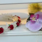 La imagen 1 de la Empresa QARTE FLORISTAS Floristerias en Zaragoza AR