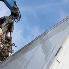 La imagen 2 de la Empresa RECUPERACIONES LOS GEMELOS Industrias y Agricultura en Torrejón de Ardoz M