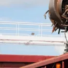 La imagen 3 de la Empresa RECUPERACIONES LOS GEMELOS Industrias y Agricultura en Torrejón de Ardoz M