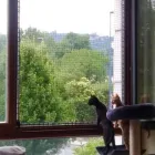 La imagen 1 de la Empresa RED NOA Tienda De Mascotas en Bilbao BI