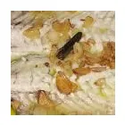 La imagen 4 de la Empresa RESTAURANTE ANASTASIO Restaurantes Vascos en Donostia-San Sebastián SS