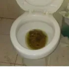 La imagen 4 de la Empresa RESTAURANTE LA ESPUELA COCINA COCHINA Restaurantes en Terrassa B