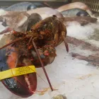 La imagen 22 de la Empresa RESTAURANTE PLAZA CHINITAS Restaurantes en Málaga España