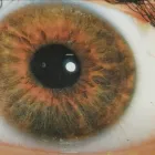 La imagen 5 de la Empresa RICARDO MORAZA NATURÓPATA - IRIDÓLOGO Terapias Alternativas y Complementarias en Donostia SS