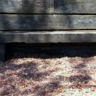 La imagen 1 de la Empresa SATIVA JARDINERS Jardineria: Empresas De Servicios en Sant Pol de Mar B