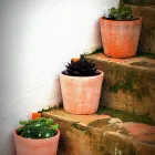 La imagen 2 de la Empresa SATIVA JARDINERS Jardineria: Empresas De Servicios en Sant Pol de Mar B