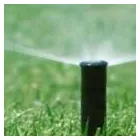 La imagen 5 de la Empresa SATIVA JARDINERS Jardineria: Empresas De Servicios en Sant Pol de Mar B