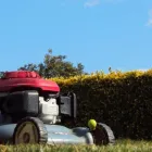 La imagen 8 de la Empresa SATIVA JARDINERS Jardineria: Empresas De Servicios en Sant Pol de Mar B