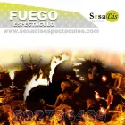 La imagen 4 de la Empresa SESADIS ESPECTÁCULOS, S.L. Organizadores de Espectáculos y Actividades de Ocio en Madrid M