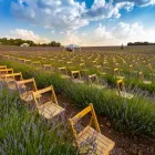 La imagen 3 de la Empresa SILLASALQUILER.COM. Servicios Profesionales y de Negocios en Madrid M