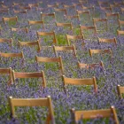 La imagen 7 de la Empresa SILLASALQUILER.COM. Servicios Profesionales y de Negocios en Madrid M