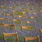 La imagen 14 de la Empresa SILLASALQUILER.COM. Servicios Profesionales y de Negocios en Madrid M