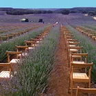 La imagen 17 de la Empresa SILLASALQUILER.COM. Servicios Profesionales y de Negocios en Madrid M