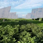 La imagen 8 de la Empresa SOLENERSA Regulación Y Control en Madrid M